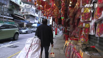 Os gatos do comércio de Hong Kong