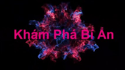 Sốc trước những quả trứng của người -ngoài hành tinh- dọc bãi biển