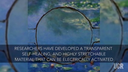 Material se regenera solo