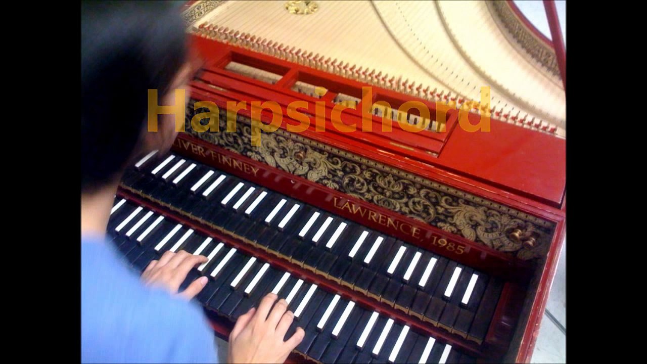 Musical Instruments Sounds   Kids Learning Videos