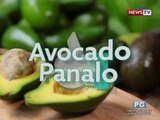 Good News: Avocado Panalo!