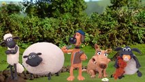 Timmy Time and Shaun the Sheep Finger Family Song
