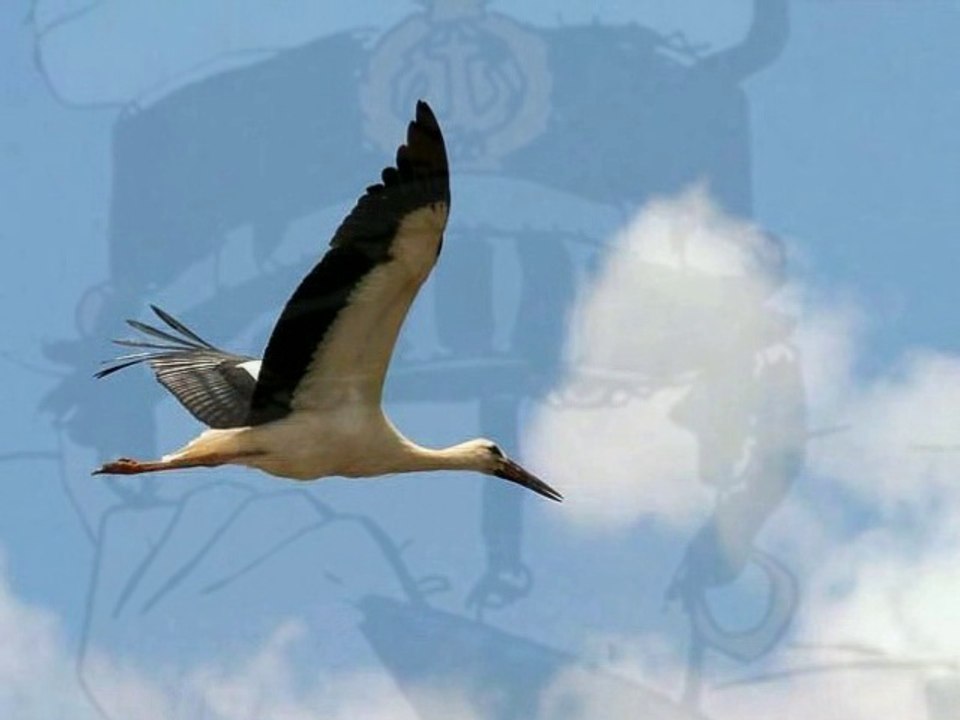 Salut Les Copains 2017.