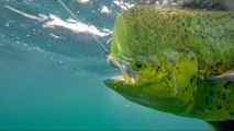 Sport Fishing TV 2017 Season Preview