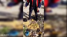 باجة : مواطن يزرع البصل في حفر بشارع الحبيب بورقيبة