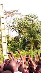 Insolite: cette vieille femme a été retrouvée perchée sur un poteau électrique