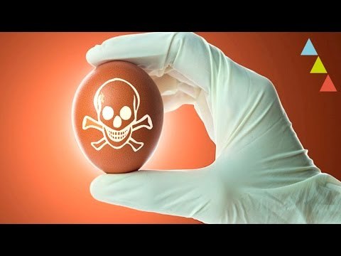 Cómo evitar las intoxicaciones alimentarias