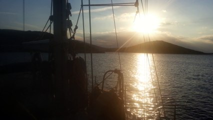 Fleur de Passion 2017 - Nos voeux de bonne année