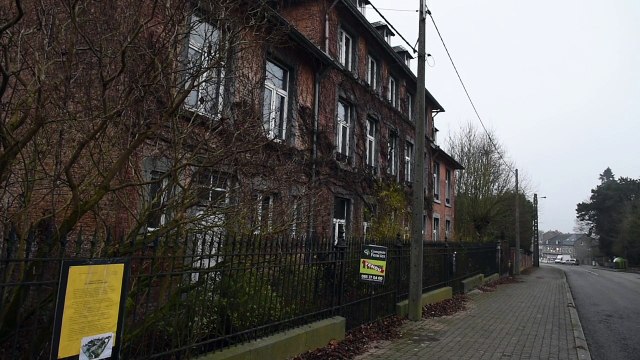 Neuville des arbres remarquables vont être abattus pour construire un quartier