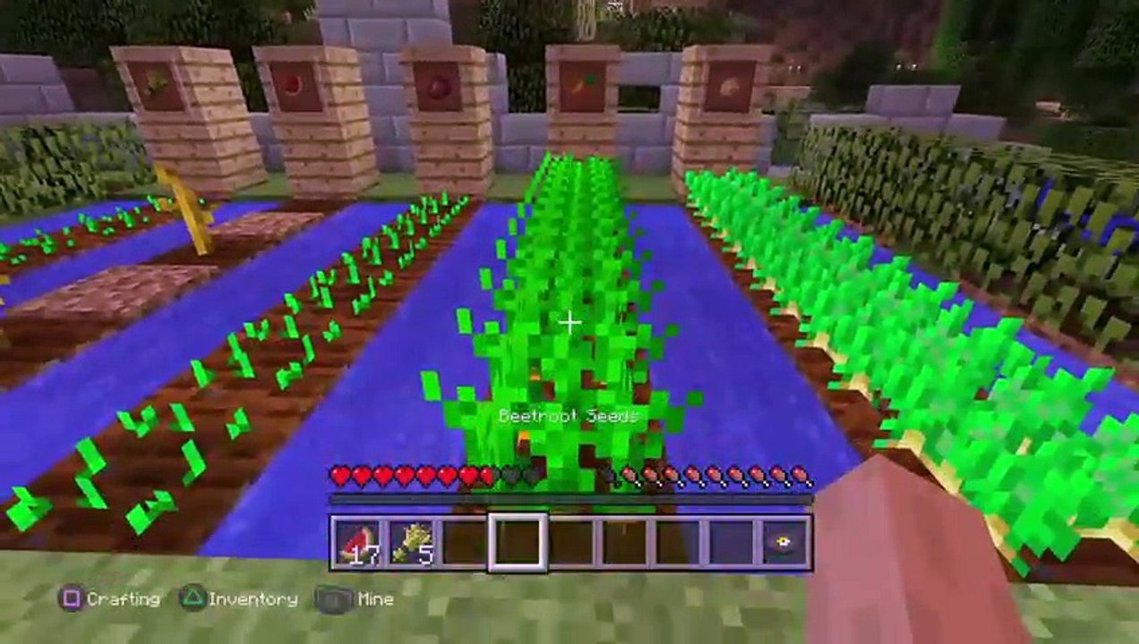 Minecraft DEMO (42)