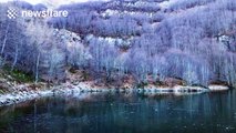 Frozen lake surrounded by frost-covered trees