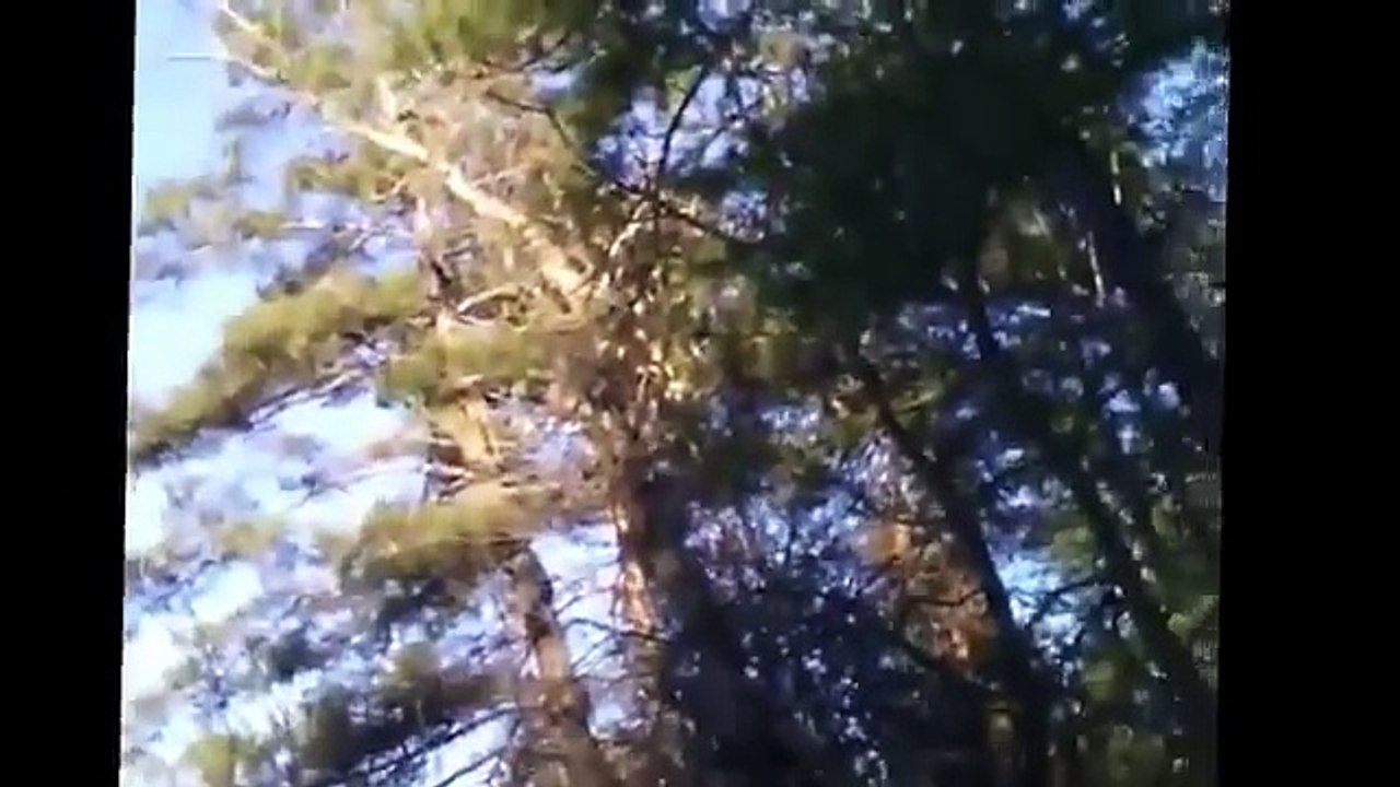 Прорыв на Светлодарской дуге ГЛАЗАМИ  ВСУ. Дебальцево АТО бой война ДНР новости сегодня видео