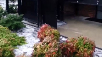 Winter Sports and Snow Fails Compilation - Christmas Edition