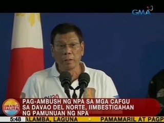 UB: Pag-ambush ng NPA sa mga CAFGU sa Davao Del Norte, iimbestigahan ng pamunuan ng NPA