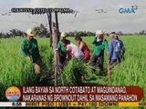 UB: Ilang bayan sa North Cotabato at Maguindanao, nakaranas ng brownout dahil sa masamang panahon