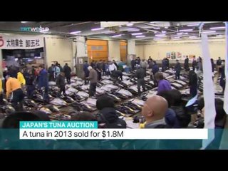 Senior Fellow at Tokyo Foundation Masayuki Komatsu talks about Japan's tuna auction