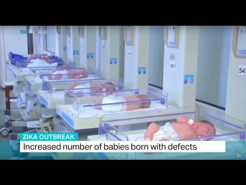 Outbreak of Zika virus in Brazil and Colombia