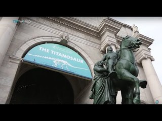 Unveiling Titanasaur, largest dinosaur discovered