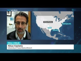 Professor Nikos Vassilakis weighs in on Zika virus that has spread quickly