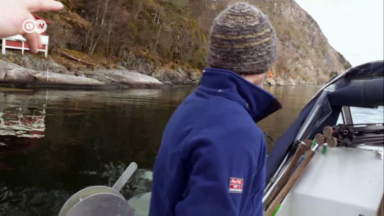 Bedrohte fjorde in norwegen | fokus europa