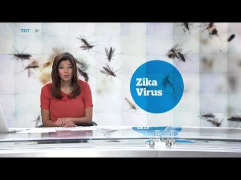 Zika Virus: Researchers say more links to microcephaly