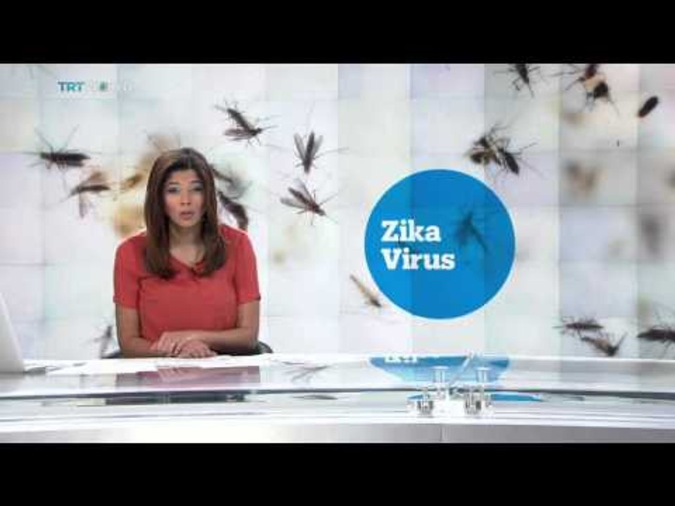 Zika Virus: Researchers say more links to microcephaly