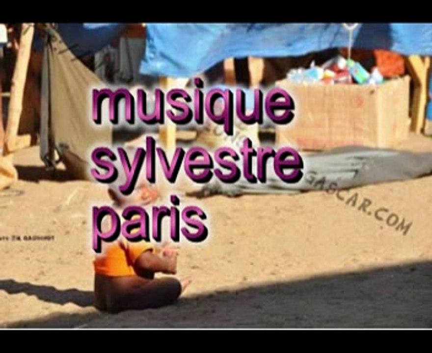 protegeons Madagascar b