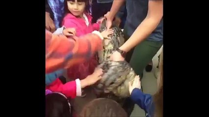 Funniest Vines Compilation of the Week    BestVine