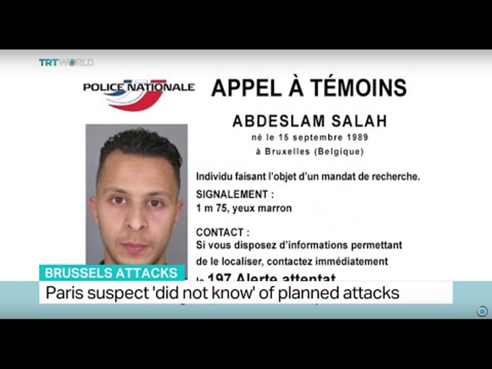 Paris suspect 'did not know' of planned Brussels attacks