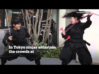 Picture This – Cherry Blossoms