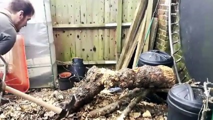 Why Do Austria & Australia Have Such Similar Names