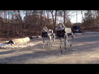 Sourav Roy reports on the rise of killer robots in warfare