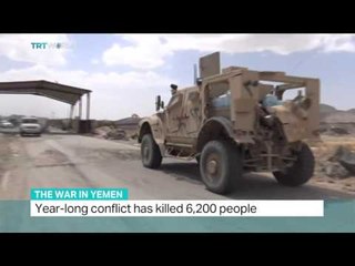 Interview with Adam Baron from European Council on Foreign Affairs about war in Yemen