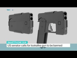 US senator calls for lookalike gun to be banned