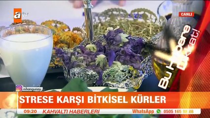 Prof. Dr. İbrahim Saraçoğlundan strese karşı bitkisel kürler! - atv