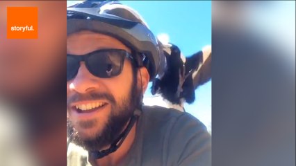 Magpie Attacks Easy-Going Cyclist