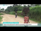 Agricultural boost vital for poverty reduction in Africa, Alican Ayanlar reports