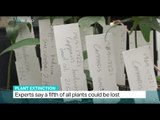 Experts say a fifth of all plants could be lost, Ben Said reports
