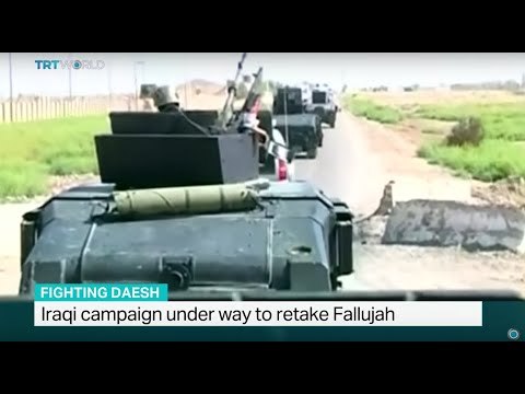 Iraqi campaign under way to retake Fallujah, Anelise Borges reports