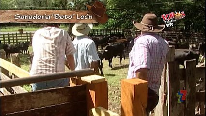 Micro Taurinos 28 Diciembre