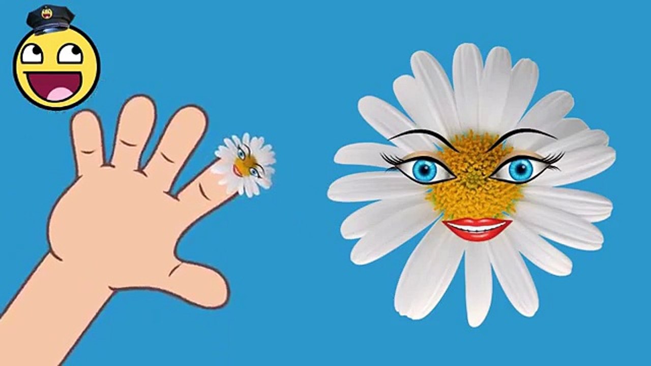 Kid Songs | Finger Family Daisy Flower | Childrens Song