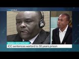 Jean-Pierre Bemba sentenced to 30 years for war crimes, TRT World's Fidelis Mbah weighs in