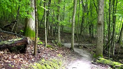 Rainfall Relaxing 3 Hour Peaceful-Rain-Sleep-Work-Screensaver B-roll