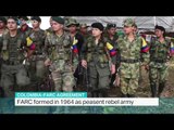 Interview with Wesley Tomaselli from Bogota on Colombia-FARC agreement