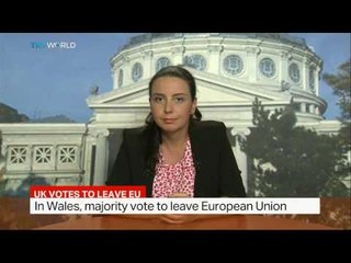 Interview with European Commission legal expert Laura Stefan on impacts of Brexit