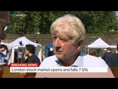 Interview with former member of EU parliament Stanley Johnson on Brexit