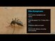 Possible mosquito borne zika cases in Florida, Colin Campbell reports