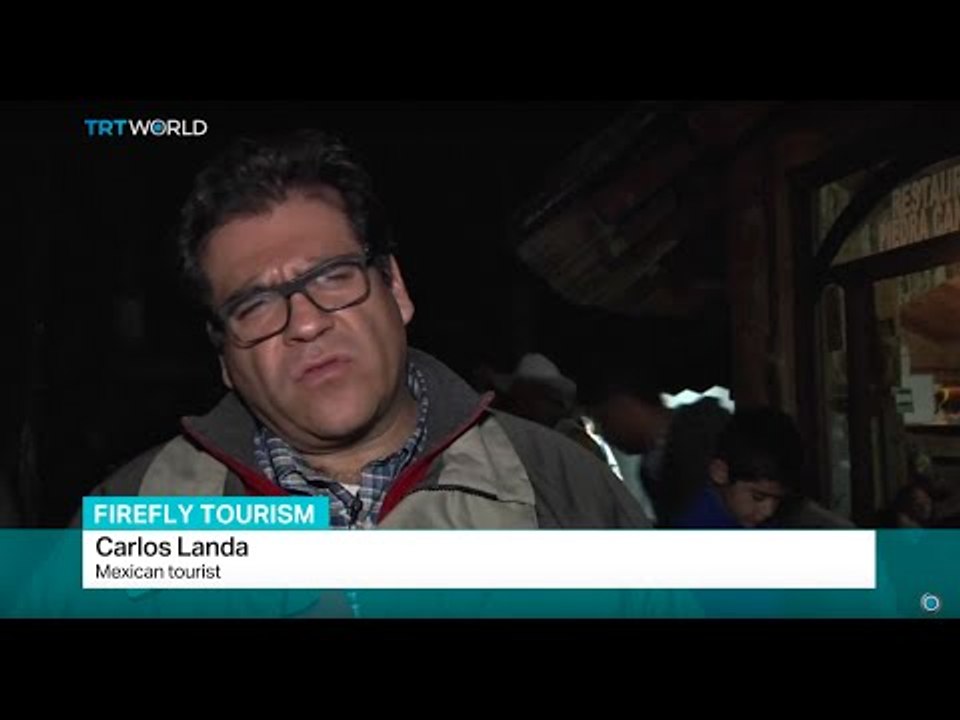 Firefly tourism: Mexican villagers use fireflie...