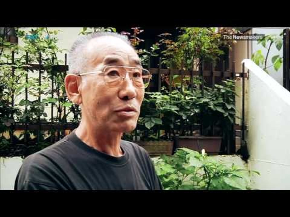 The Newsmakers: Japan Security