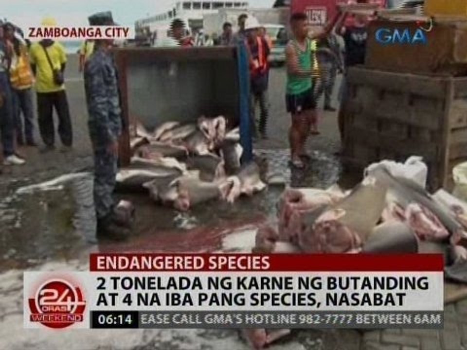 24 Oras: 2 tonelada ng karne ng butanding at 4 na iba pang species, nasabat